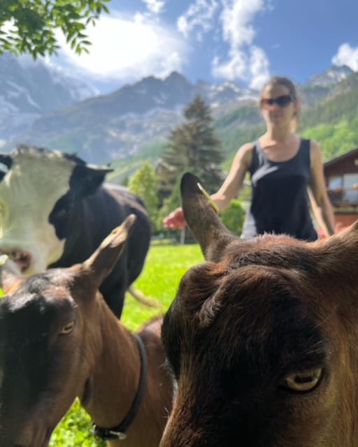 Hotel La Grange – Courmayeur – Animal Chic farm -Giro con gli animali Hotel La Grange - Courmayeur - Animal Chic farm -Giro con gli animali
