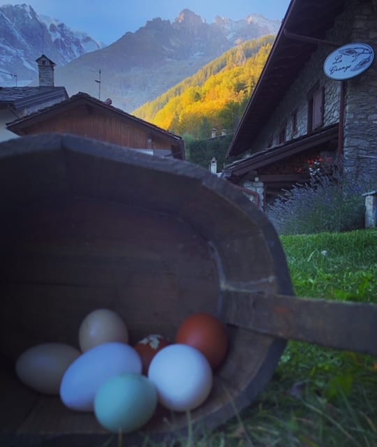 Hotel La Grange – Courmayeur – Animal Chic farm – Les dzeulenes du Mont blanc Hotel La Grange - Courmayeur - Animal Chic farm - Les dzeulenes du Mont blanc