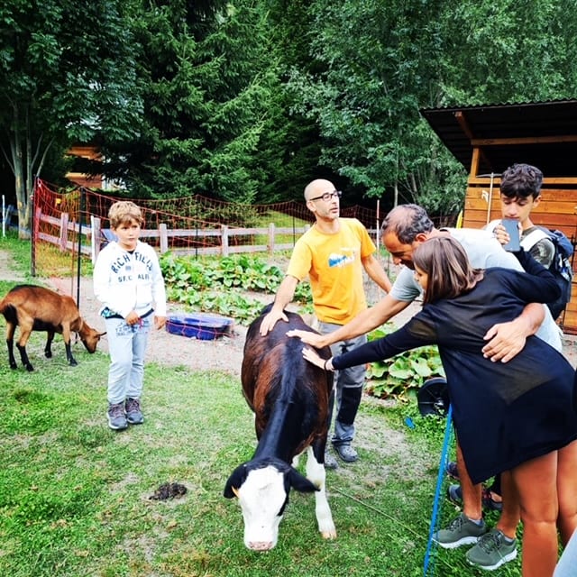 Hotel La Grange – Courmayeur – Animal Chic farm – Visita in fattoria Hotel La Grange - Courmayeur - Animal Chic farm - Visita in fattoria